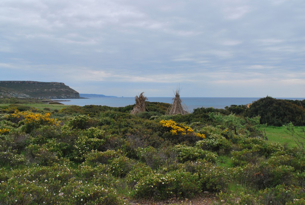 S'abba drucche